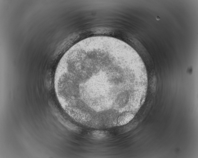 X0000114660261200912011142