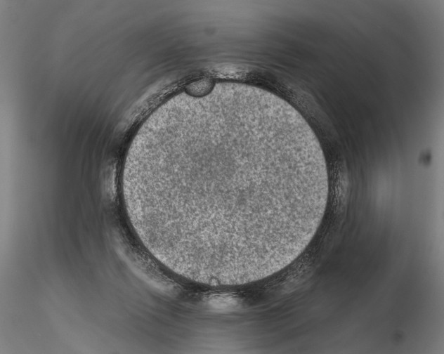 X0000114660262200912011142