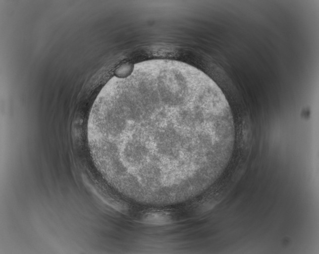 X0000114660263200912011142