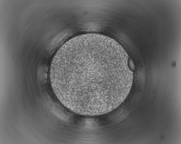 X0000114660264200912011142