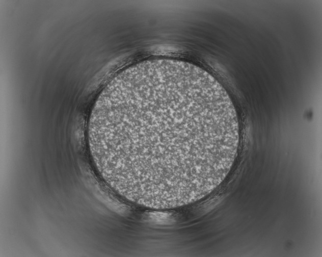 X0000114660265200912011142