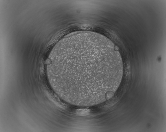 X0000114660266200912011142