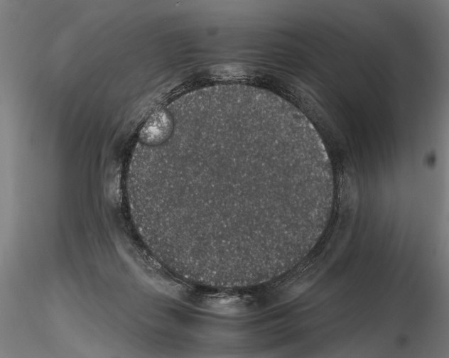 X0000114660267200912011142