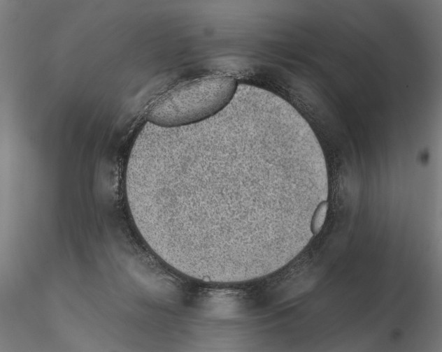 X0000114660268200912011142