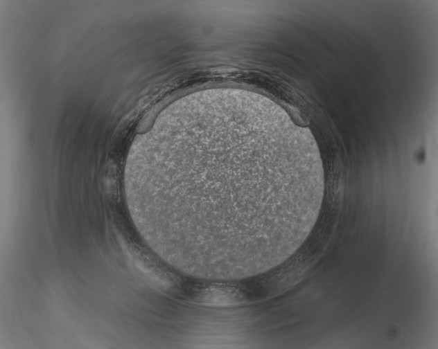 X0000114660270200912011142