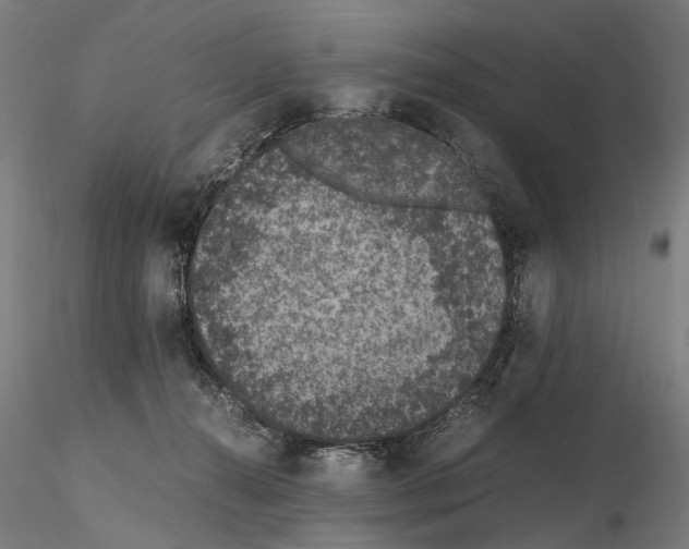 X0000114660272200912011142