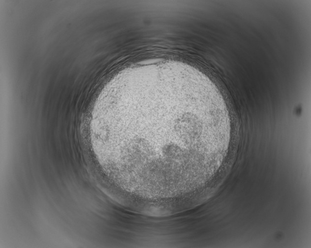 X0000114660275200912011142