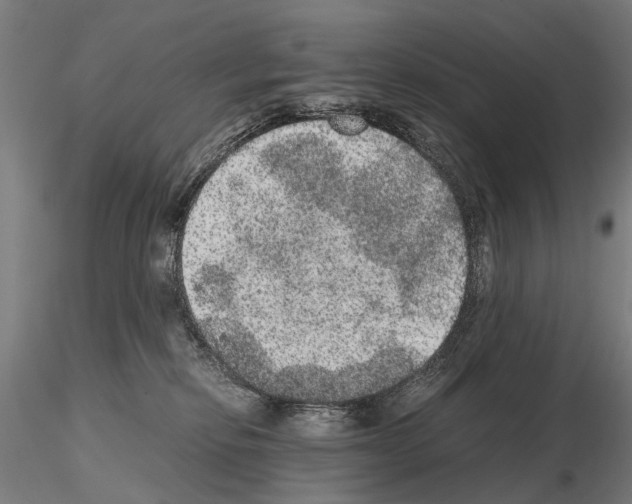 X0000114660278200912011142