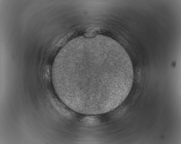 X0000114660280200912011142