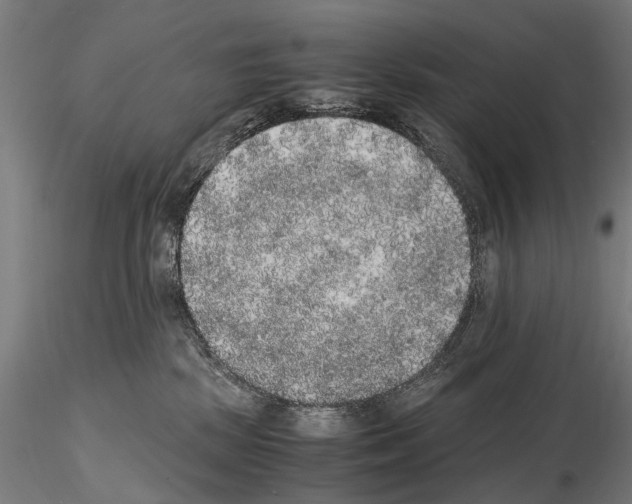 X0000114660281200912011142