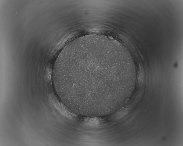 X0000114660282200912011142