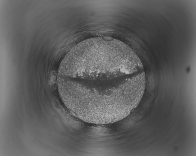 X0000114660284200912011142