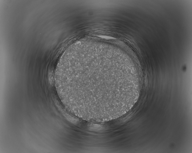 X0000114660285200912011142