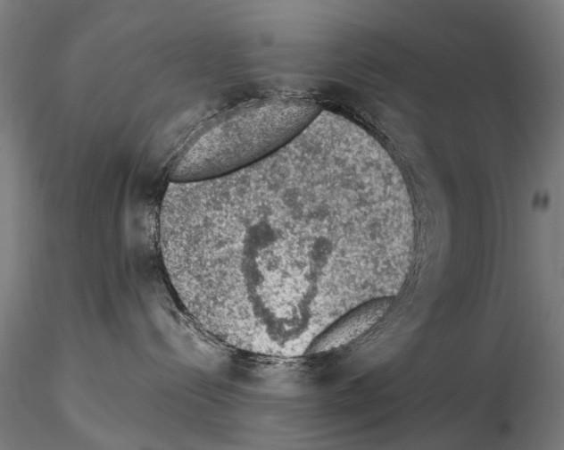 X0000114660288200912011142