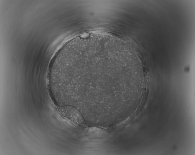 X0000114660290200912011142