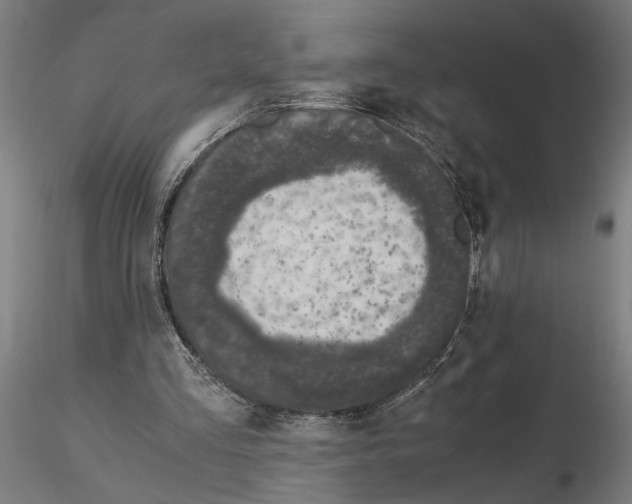 X0000114660293200912011142