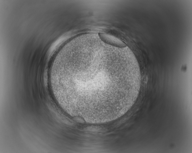 X0000114660294200912011142