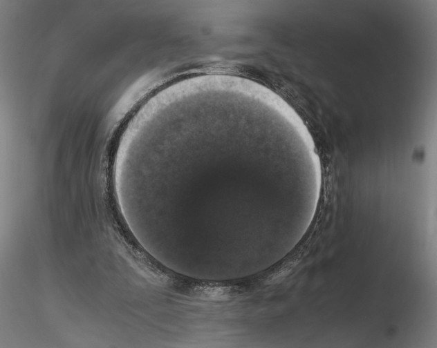 X0000114660295200912011142