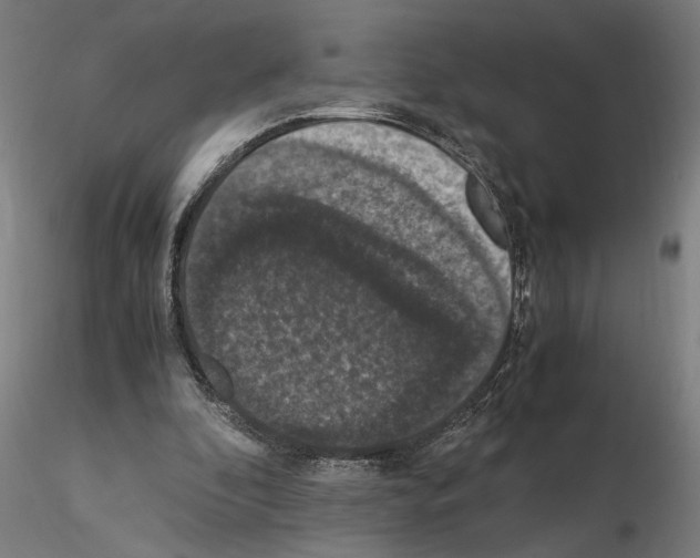 X0000114660296200912011142