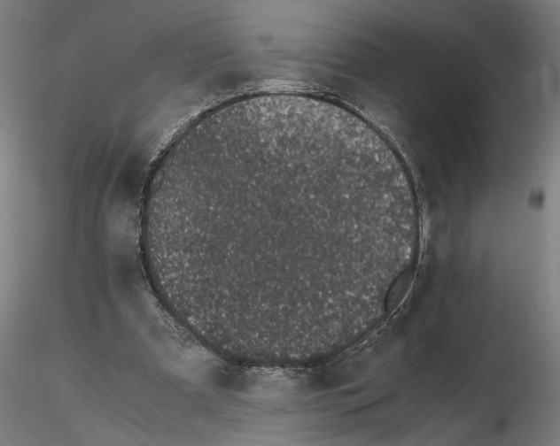 X0000114660297200912011142