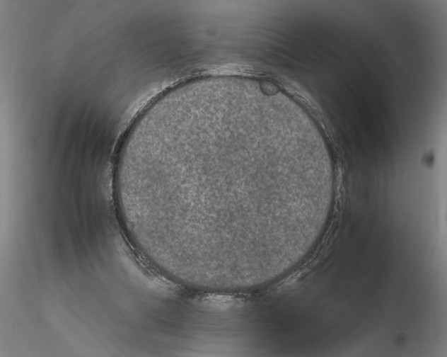 X0000114660298200912011142