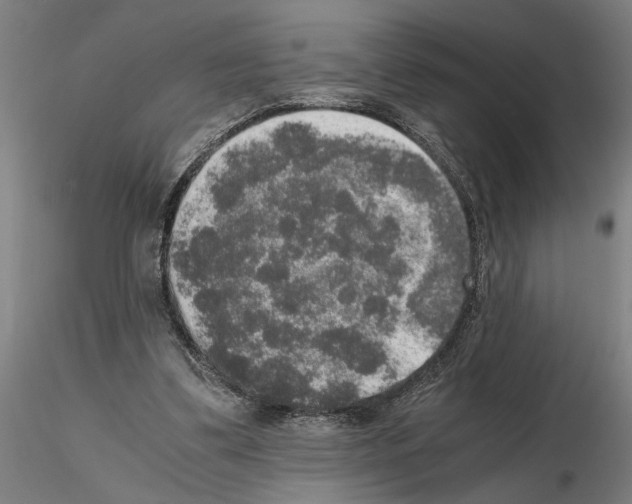 X0000114660299200912011142