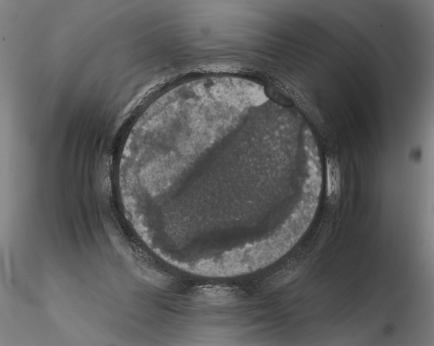 X0000114660300200912011142