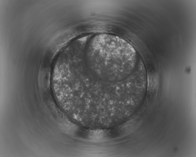 X0000114660301200912011141