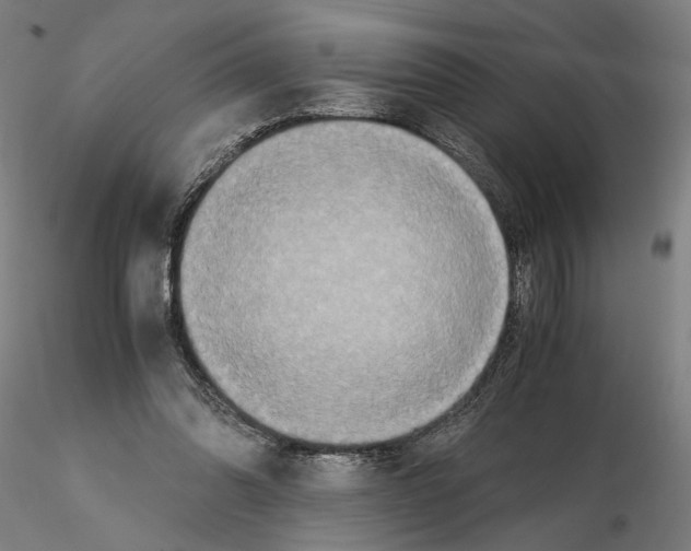 X0000114660302200912011141