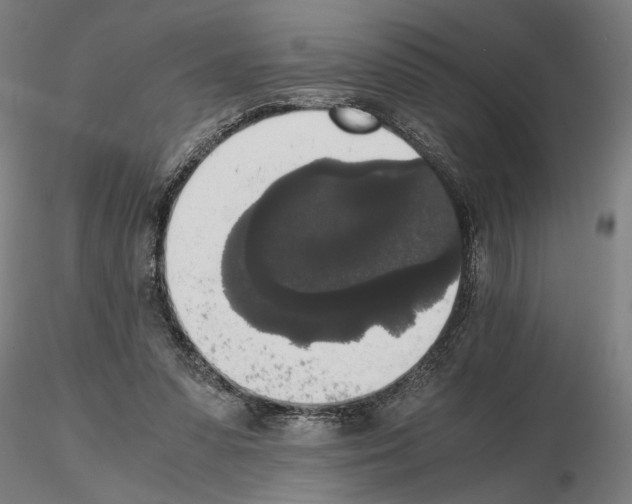 X0000114660303200912011141