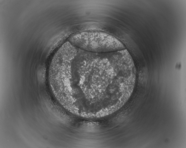 X0000114660304200912011141