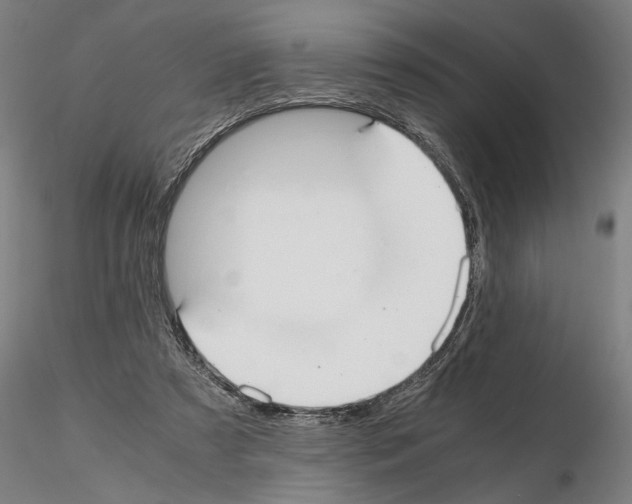 X0000114660305200912011141