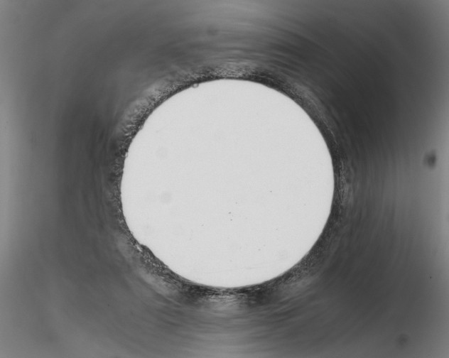 X0000114660307200912011141