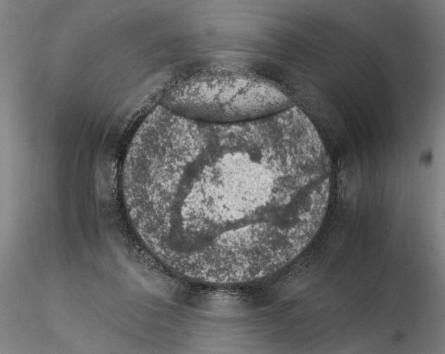 X0000114660308200912011141