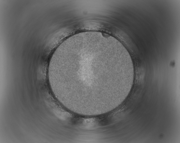 X0000114660309200912011141