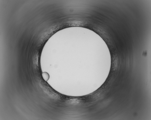 X0000114660310200912011141