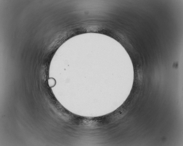 X0000114660311200912011141