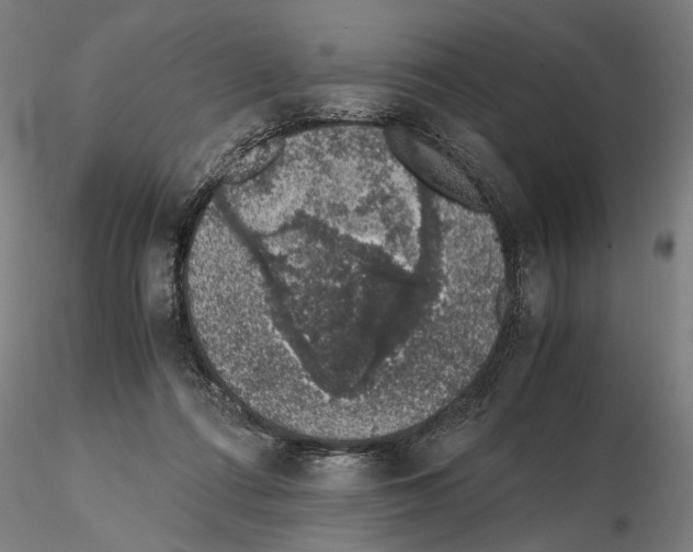 X0000114660312200912011141