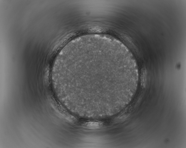 X0000114660314200912011141