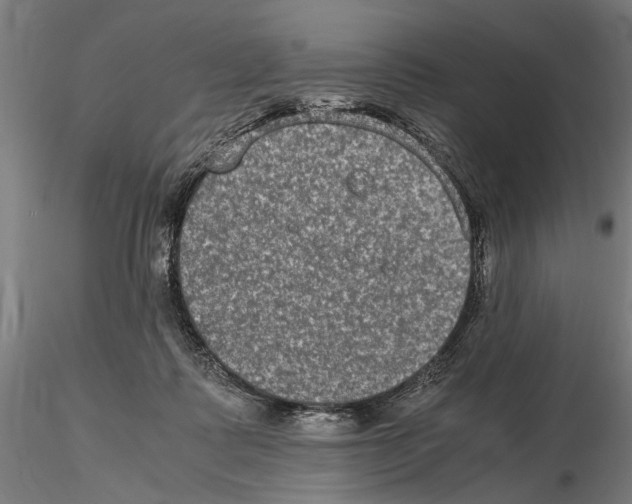 X0000114660315200912011141