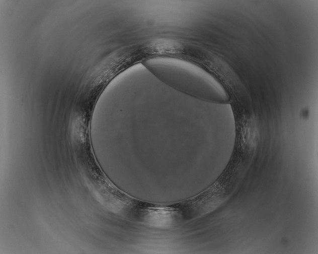 X0000114660316200912011141