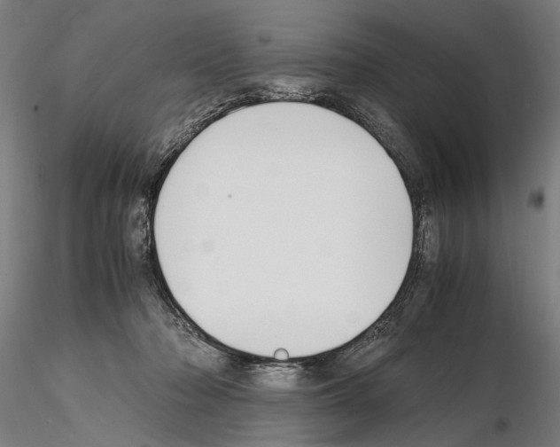 X0000114660318200912011141