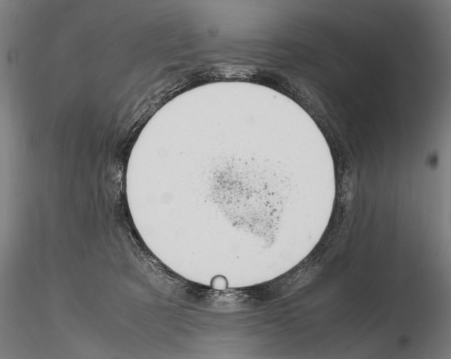 X0000114660321200912011141