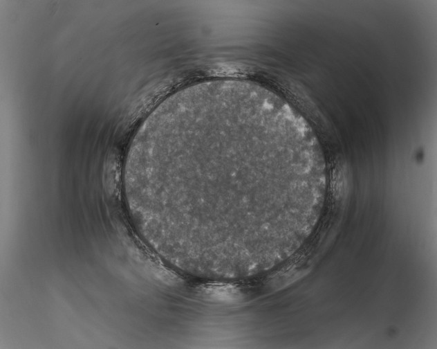 X0000114660322200912011141