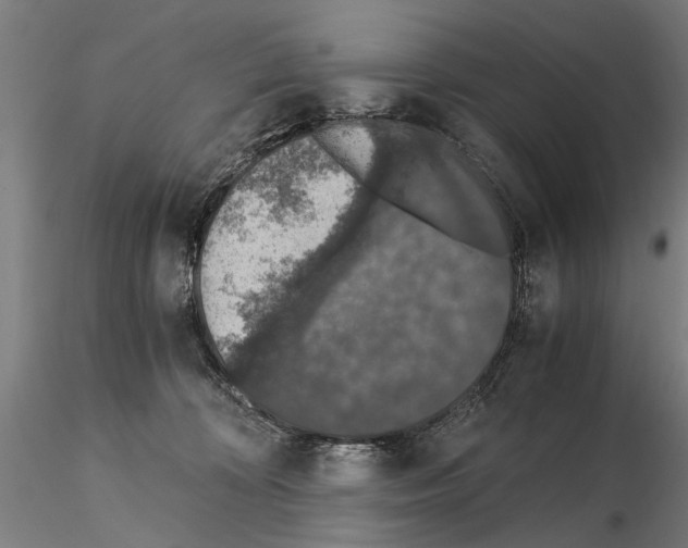 X0000114660324200912011141