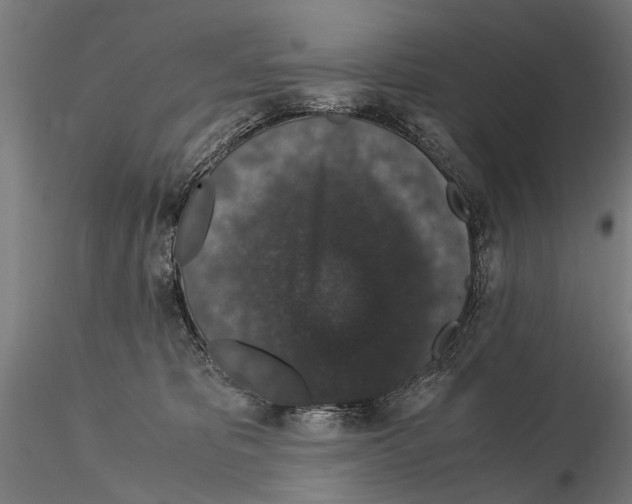 X0000114660325200912011141