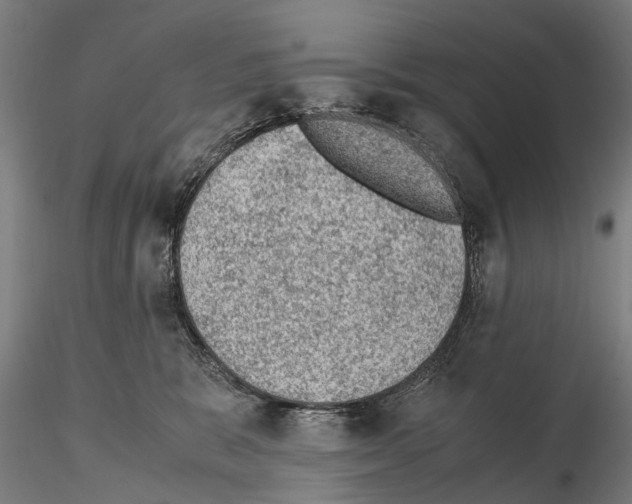 X0000114660327200912011141