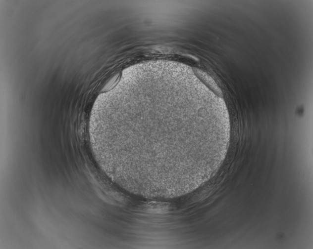 X0000114660328200912011141