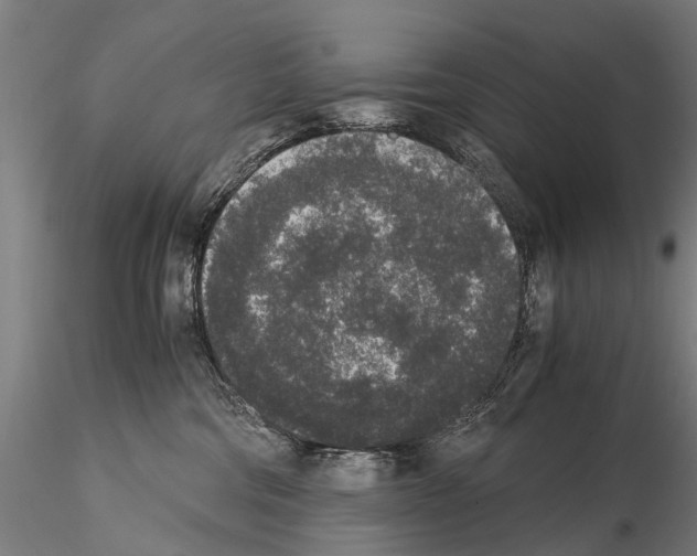 X0000114660330200912011141