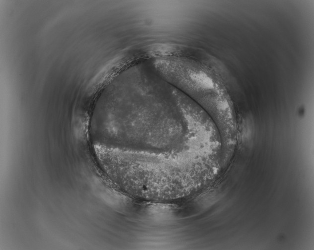 X0000114660332200912011141